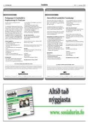 Síða 32