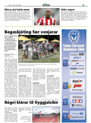 Síða 17