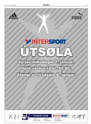 Síða 29