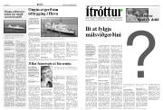 Síða 6