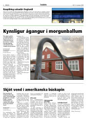 Síða 6