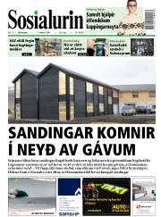 Síða 1