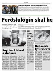 Síða 8