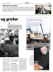 Síða 11