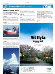 Síða 19