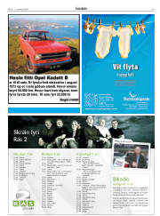 Síða 31