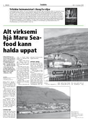 Síða 8