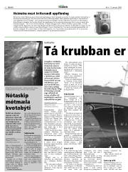 Síða 12