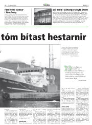 Síða 13