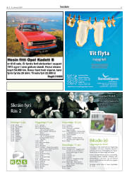 Síða 31