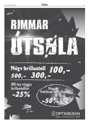 Síða 31