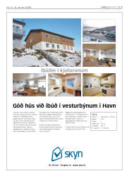 Síða 17