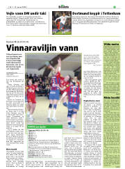 Síða 17