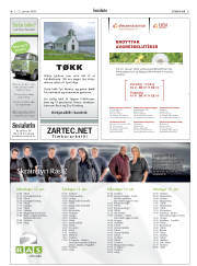 Síða 31