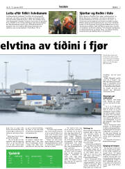 Síða 5