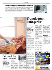 Síða 19