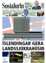 Síða 1
