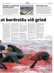 Síða 19