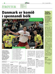 Síða 22
