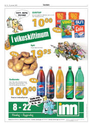 Síða 3