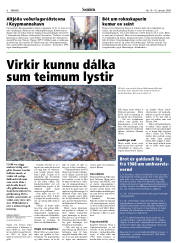 Síða 6