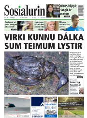 Síða 1