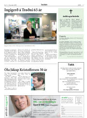 Síða 17