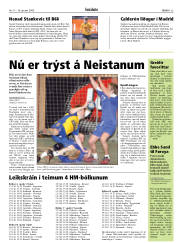 Síða 25