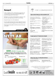 Síða 31