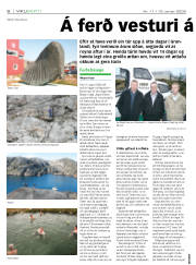 Síða 6
