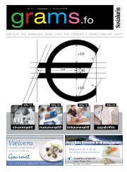 Síða 15