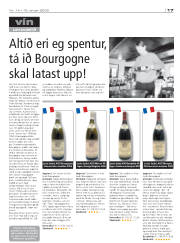 Síða 17