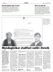 Síða 8
