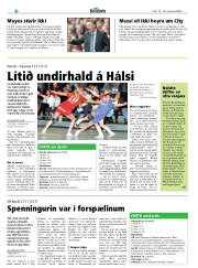 Síða 20