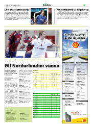 Síða 21