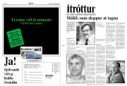 Síða 11