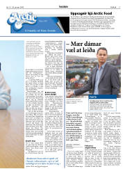 Síða 17