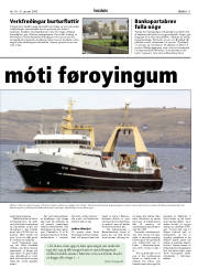 Síða 11