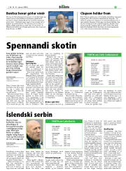 Síða 29