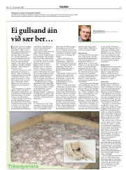 Síða 13