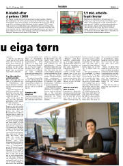 Síða 17