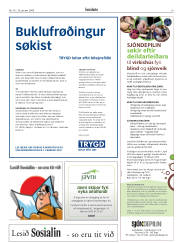Síða 19