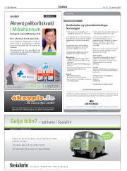 Síða 36