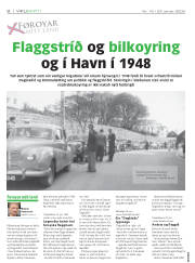 Síða 8