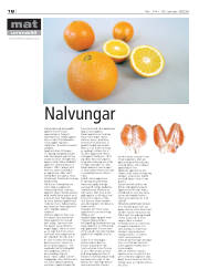 Síða 18