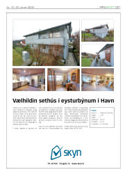 Síða 21
