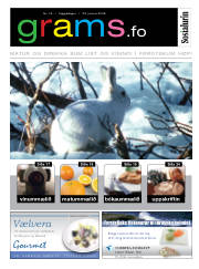 Síða 15
