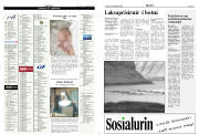 Síða 12