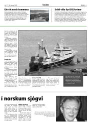 Síða 13