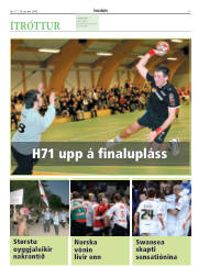 Síða 17